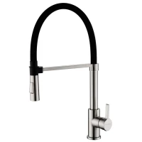 Смеситель для кухни Paulmark Halt HA214021-NI