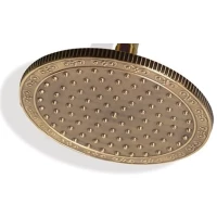 Верхний душ 210 мм Bronze De Luxe 1913