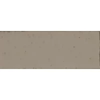 Керамогранит RAEW Glace Mastice Glossy 7,5x20