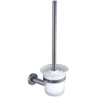 Ёршик Aquatek Вега AQ4010BGM настенный, оружейная сталь матовый  