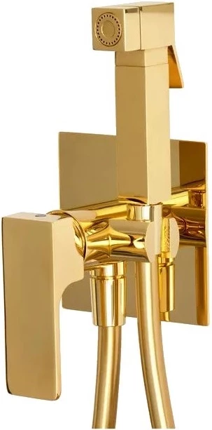 Гигиенический душ Remer Absolute AU65DO со смесителем, золотой