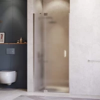 Душевая дверь RGW HO-014 Hotel 350601412-21 120 см, профиль хром, стекло матовое