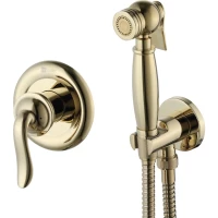 Гигиенический душ Lemark Brava LM4719G со смесителем, золотой