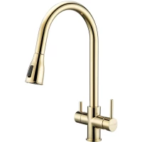 Смеситель для кухни Paulmark Lange La214212-SBG с подключением к фильтру, выдвижным изливом, светлое золото матовый