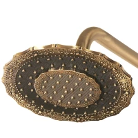 Верхний душ 210 мм Bronze De Luxe 1915