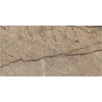 Керамогранит NEWCASTLE коричневый 60х120