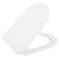 Сиденье для унитаза с микролифтом BelBagno Flay-R BB2111SC (Нарушена упаковка)