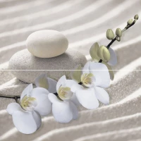 Панно Alma Ceramica PWU09RLX1 Relax 49,8x50