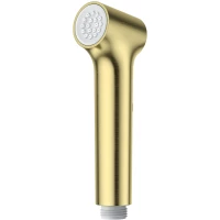 Гигиенический душ Raglo R460.05.03 золотой матовый