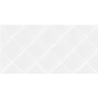 Плитка Salvia 24,9x50