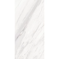 Керамогранит MPL-058744 1123 glossy 60x120