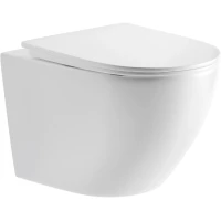 Унитаз подвесной GID Tr2198TFB безободковый, торнадо, с сиденьем микролифт, белый