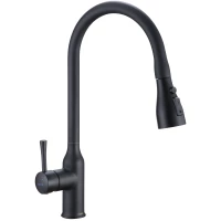 Смеситель для кухни Shevanik S163H