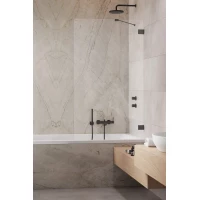 Шторка для ванны Radaway Essenza Pro Brushed GunMetal PNJ II 60 10101060-92-01 прозрачное