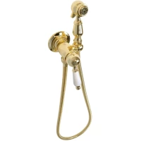 Гигиенический душ Migliore Oxford 30531 со смесителем, золотой