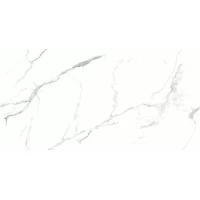 Керамогранит 16918 Glorious White Sugar 60x120