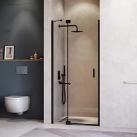 Душевая дверь RGW HO-014B Hotel 350601411-14 110 см, профиль черный матовый, стекло прозрачное