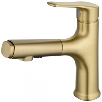 Смеситель для раковины Wonzon & Woghand WW-AE4151-BG с выдвижным изливом, золотой матовый