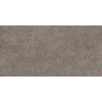 Плитка Discover TWU2550DCV40 24,9x50