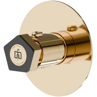 Термостат для душа Newform Park Limited Edition 69807E.62.093 встраиваемый, золотой