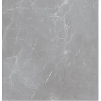 Керамогранит IRN000041 Arion Gray Dark 59,7x59,7