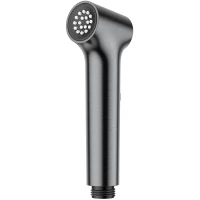 Гигиенический душ Raglo R460.05.09 графит матовый