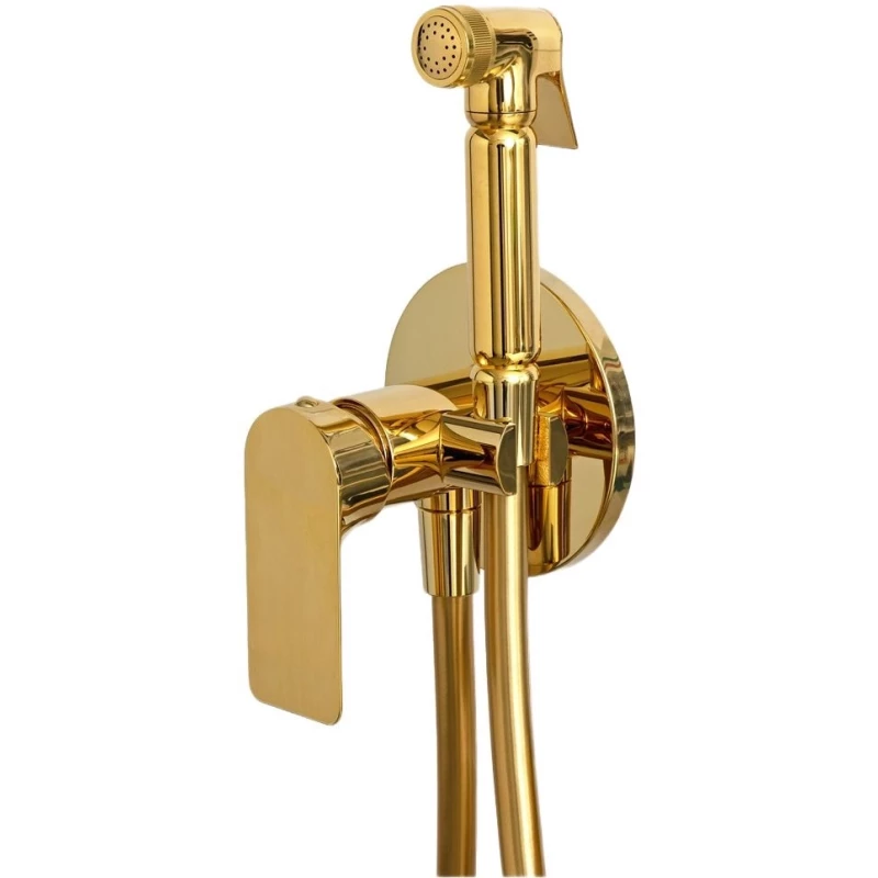Гигиенический душ Remer Infinity I65DO со смесителем, золотой