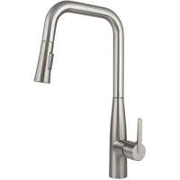 Смеситель для кухни Kaiser Claro 22144-5 с выдвижным изливом, серебряный