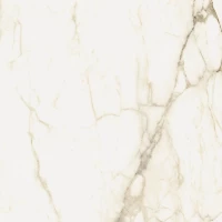 Керамогранит Coliseum Gres Микеланджело Ворм 60X60 Рет 610010002748