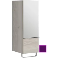 Полуколонна сливовый глянец с зеркальной дверцей шарниры справа Jacob Delafon Odeon Up EB893D-F26