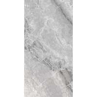 Керамогранит 75382 Supreme Silver Rettificato 60x120