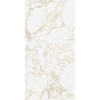 Керамогранит 4100710 Pulp Gold Raw 60x120