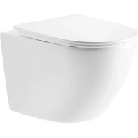 Унитаз подвесной River Michigan 485 WT 10000013699 безободковый, торнадо, с сиденьем микролифт, белый