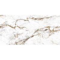 Керамогранит Breccia Tortona Lap RT 60x120