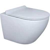 Унитаз подвесной GID Tr2198 безободковый, с сиденьем микролифт, белый