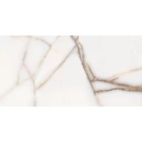 Керамогранит FAVORITE ONYX WHITE GLOSSY 60x120