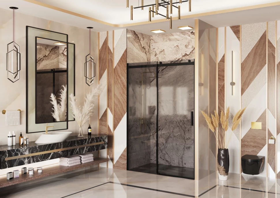 

Душевая дверь 160 см Ambassador Benefit 19022205HBB тонированное