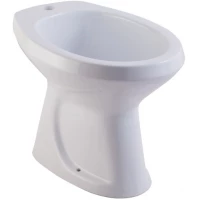 Биде напольное Rosa Люкс 4620008191256