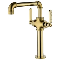 Смеситель для кухни Paulmark Loft LO226006-G