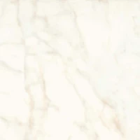 Керамогранит A5TC Marvel Calacatta Delicato Silk 60x60