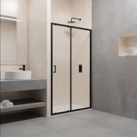 Душевая дверь 160 см RGW PA-14 B Passage 41081416-14 прозрачное