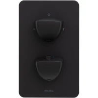 Термостат для ванны Allen Brau Infinity 5.21216-31 встраиваемый, черный матовый