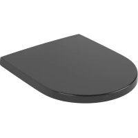 Сиденье для унитаза Villeroy & Boch Subway 3.0 8M42S1R7 с микролифтом, черный матовый