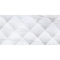 Декор Arcadia 24,9x50 