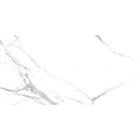 Керамогранит Calacatta Splendid Silver 60x120