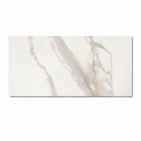 Керамогранит Calacatta Gold 60 Lap Rt 60x120