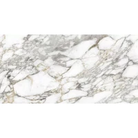 Керамогранит SUPREME MEMORIES BIAN.VAGLI NAT RETT. P. TECH R10 60X120