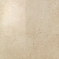 Керамогранит Atlas Concorde Marvel Beige Mystery 60x60 Lappato (7N3R)