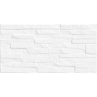 Плитка Discover TWU2550DCV10 24,9x50