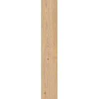 Керамогранит RC6N Secret Miele RT 20х120